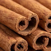 Cinnamon Bark Extract